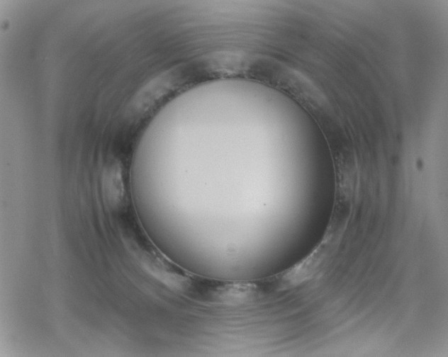 X0000070380128200606121302