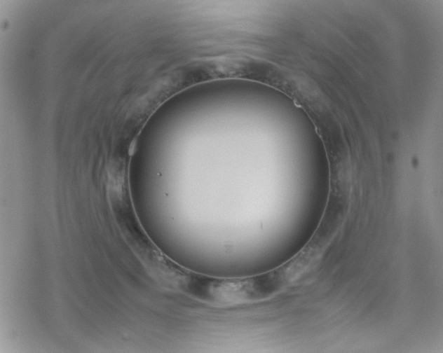 X0000070380129200606121302