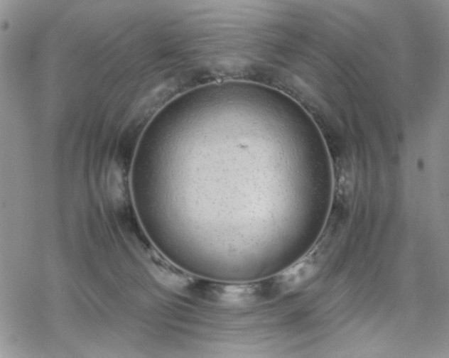 X0000070380130200606121302