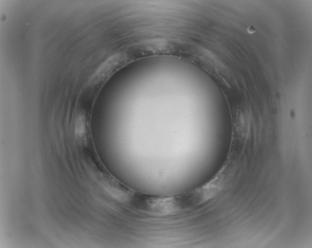 X0000070380132200606121302