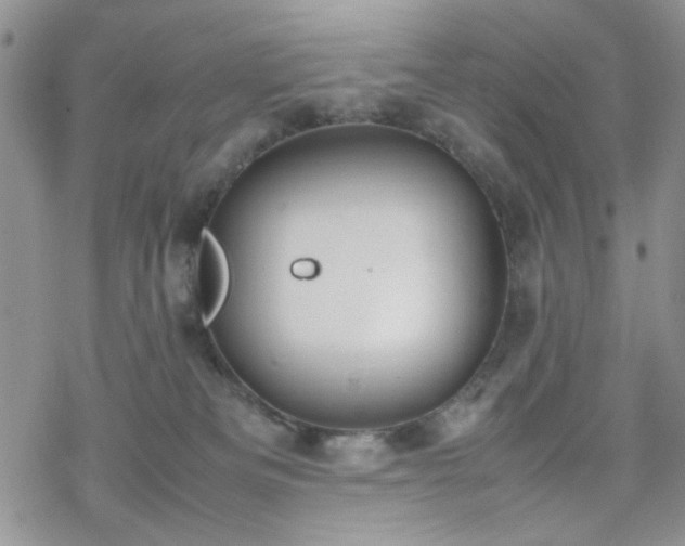 X0000070380133200606121302