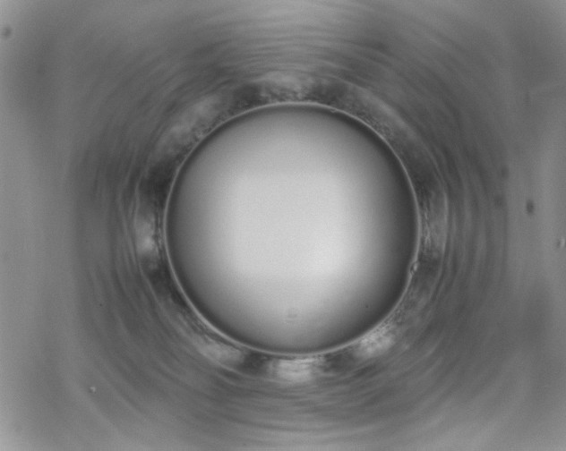 X0000070380134200606121302