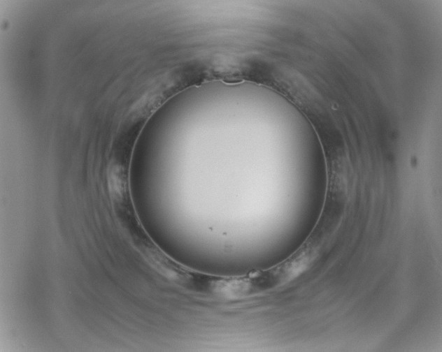 X0000070380135200606121302