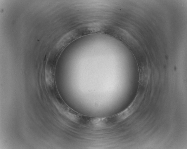 X0000070380136200606121302