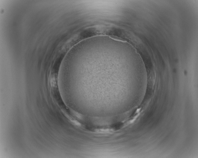 X0000070380137200606121302