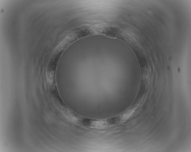 X0000070380139200606121302