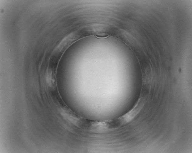 X0000070380140200606121302