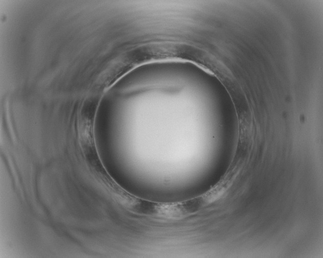 X0000070380141200606121302