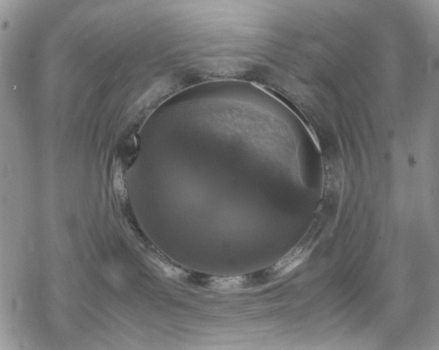 X0000070380143200606121302