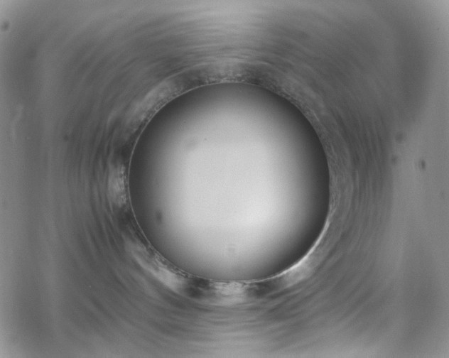 X0000070380144200606121302