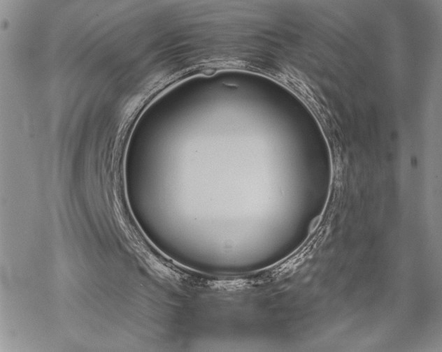 X0000070380145200606121301