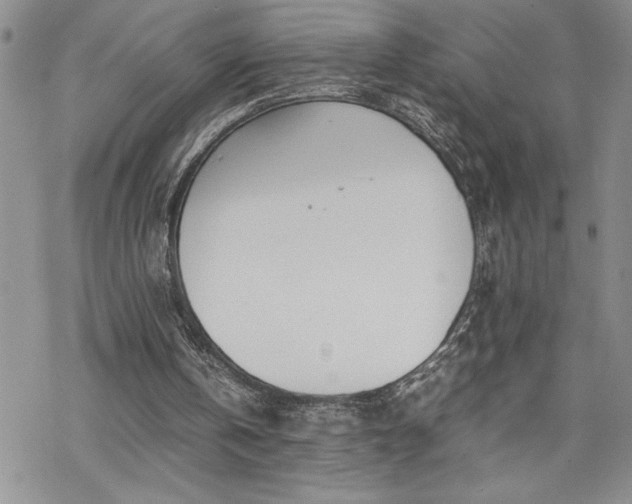 X0000070380146200606121301