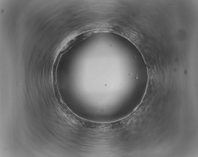 X0000070380148200606121301