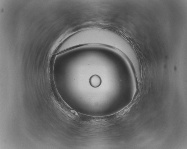 X0000070380150200606121301