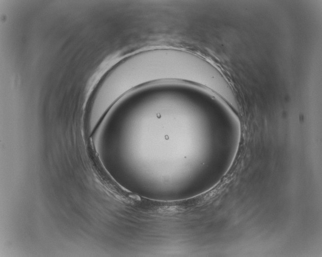 X0000070380152200606121301