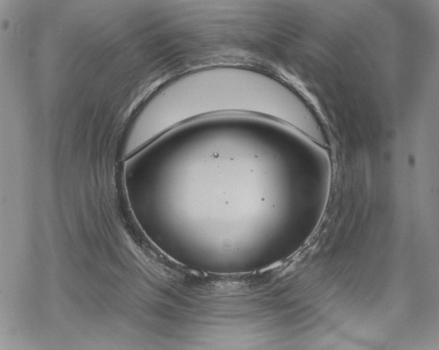 X0000070380154200606121301