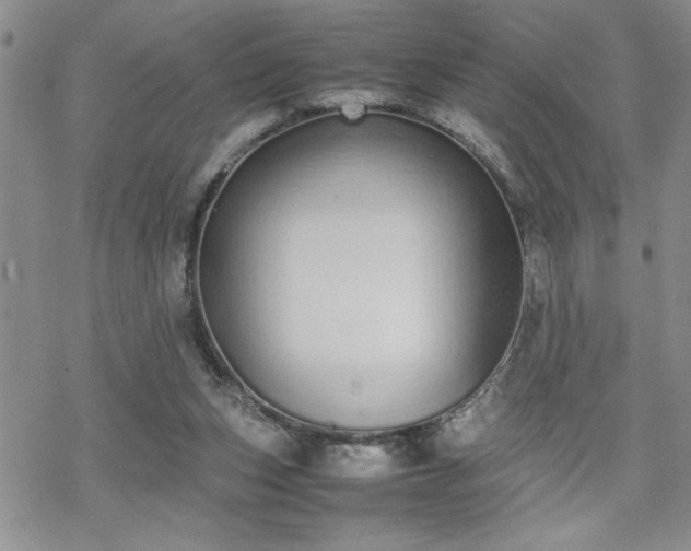 X0000070380159200606121301