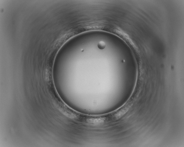 X0000070380161200606121301