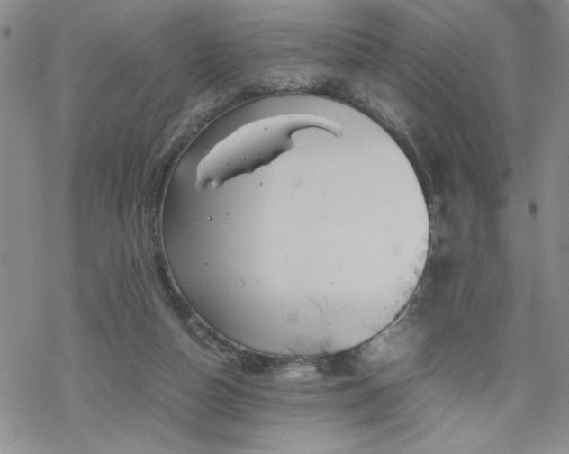 X0000070380162200606121301