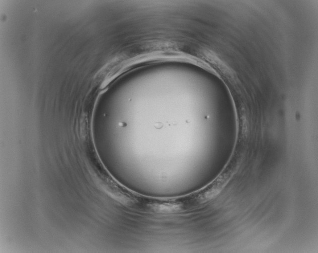 X0000070380165200606121301