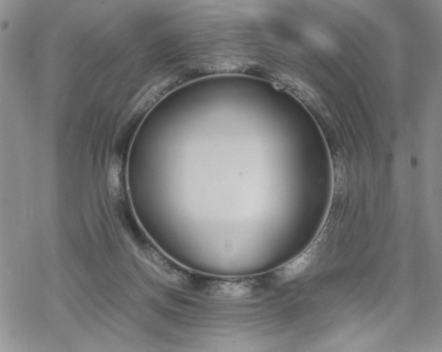 X0000070380166200606121301