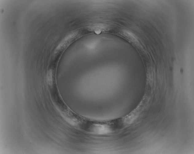 X0000070380167200606121301