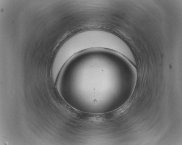 X0000070380168200606121301