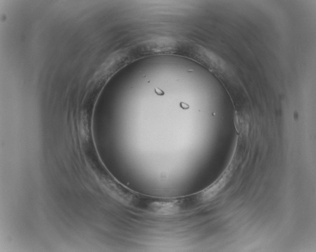 X0000070380170200606121301