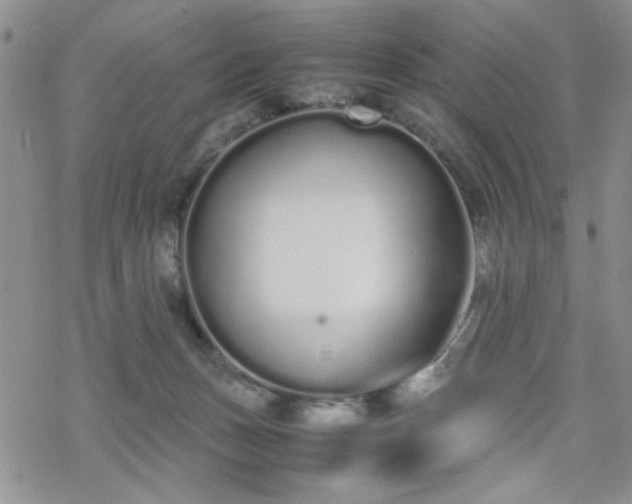 X0000070380175200606121302