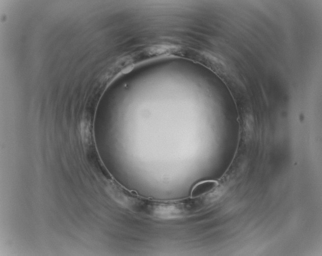 X0000070380177200606121302