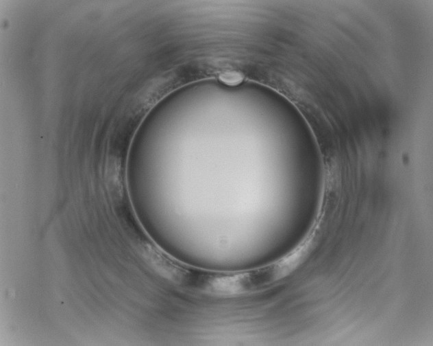 X0000070380178200606121302