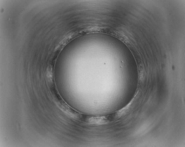 X0000070380179200606121302