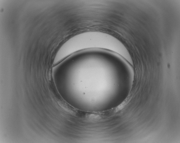 X0000070380180200606121302