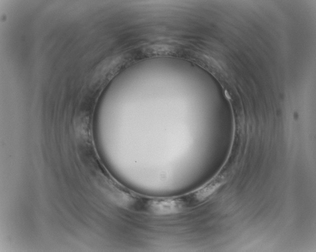 X0000070380181200606121302