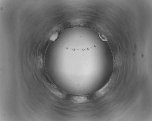 X0000070380183200606121302