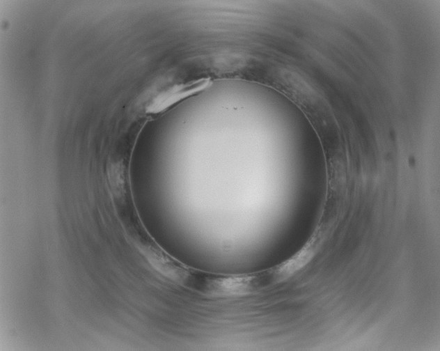 X0000070380184200606121302