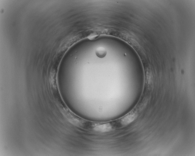 X0000070380185200606121302