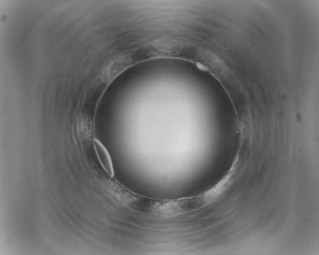 X0000070380186200606121302