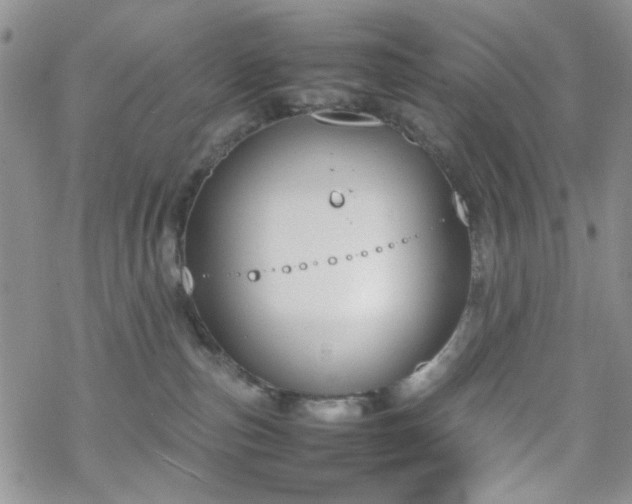 X0000070380187200606121302