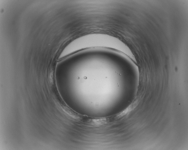 X0000070380188200606121302