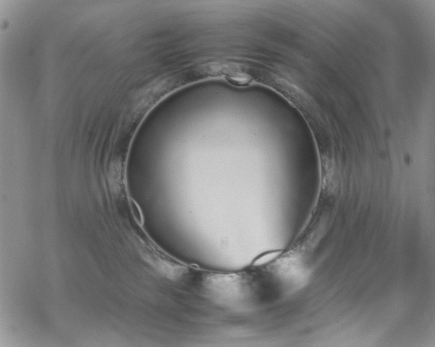 X0000070380189200606121302