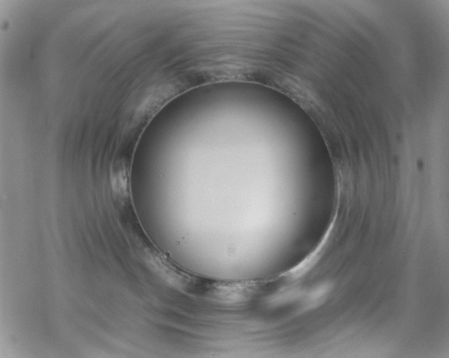 X0000070380190200606121302