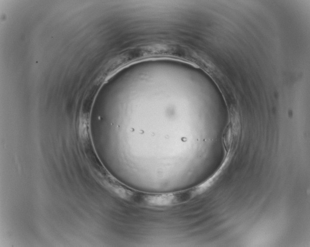 X0000070380191200606121302