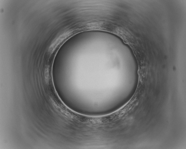 X0000070380194200606121301