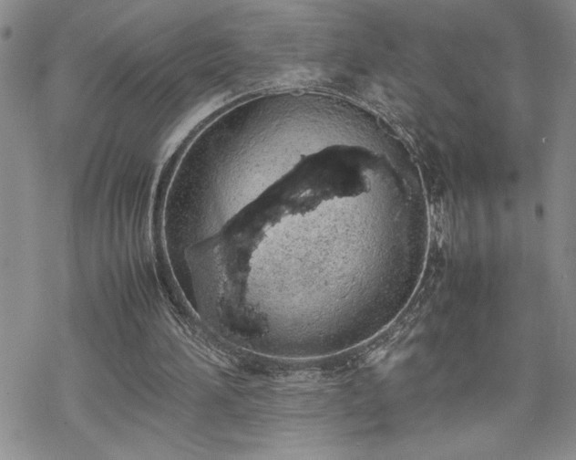 X0000070380196200606121301