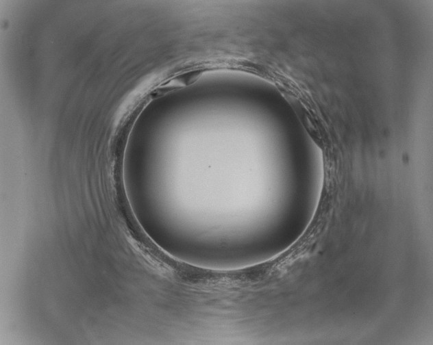 X0000070380197200606121301