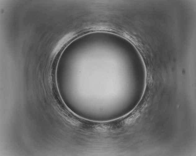 X0000070380199200606121301