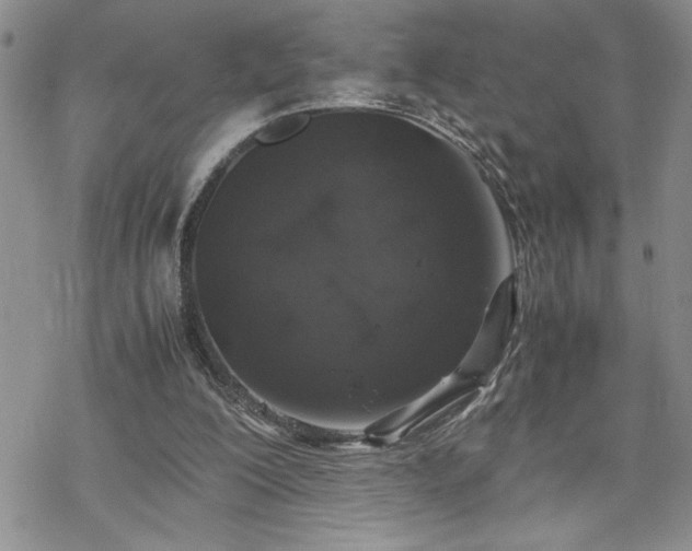 X0000070380200200606121301