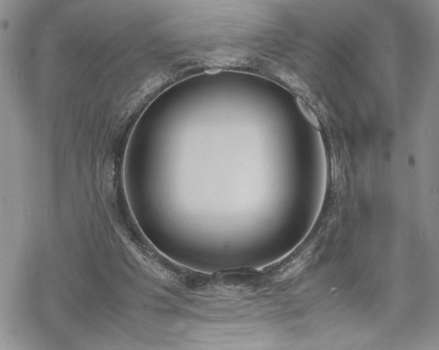 X0000070380201200606121301