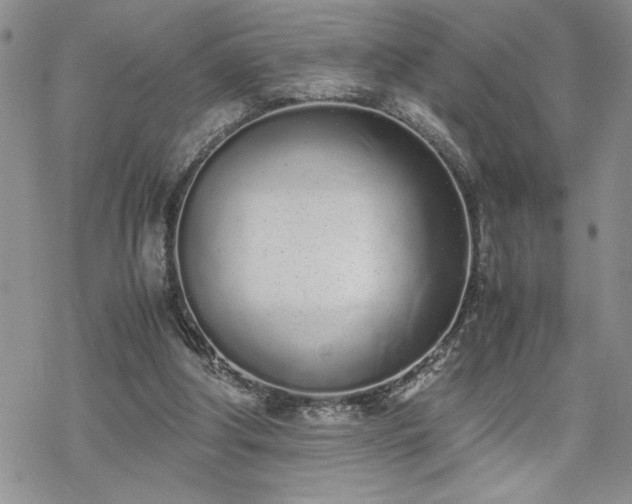 X0000070380202200606121301